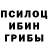 Галлюциногенные грибы Magic Shrooms jeff co