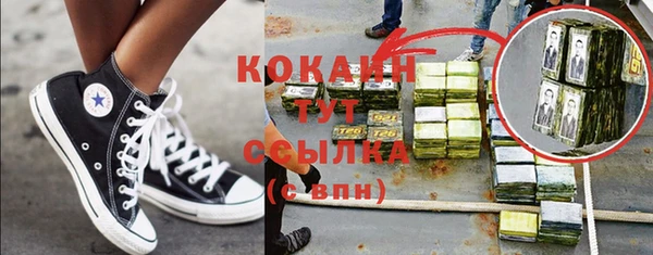 стаф Алексин