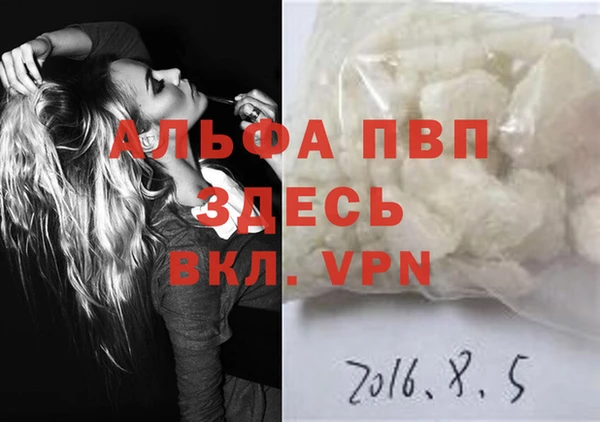 стаф Алексин
