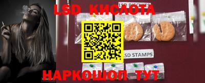 стаф Кунгур