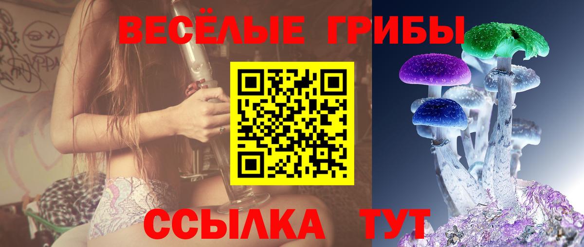 Галлюциногенные грибы Cubensis  Галлюциногенные грибы прущие грибы  Вход с VPN  Гусь-Хрустальный 